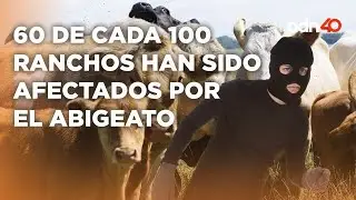 Abigeato el delito de robo de ganado y animales domésticos 60 de cada 100 ranchos han sido afectados