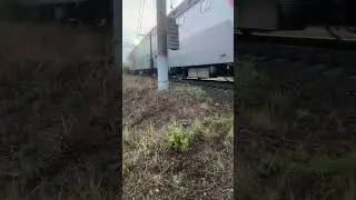 Синара❤️🩶🤍