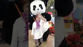Привет от ТАКАТА и тайского медведя!