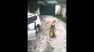 weki qehbesi