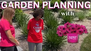 Planning A Petunia Garden To Transform A New Home