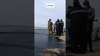 В Анапе всплыл морской чернозём 