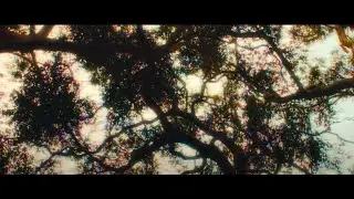 Midlake - 