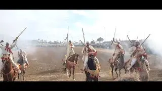 الخيل المغربية