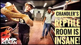 So many Dangerous Snakes & Lizards at Chandler's Wild Life!