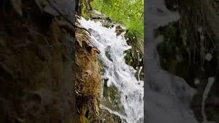 Словенские ключи. Поход по Изборскому кольцу. #nature #природа #wildlife #relax