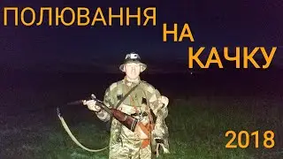 Відкриття полювання на качку 2018.