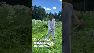 Сегодня релиз моей песни, а я кошу травку #музыка #песня #arkhipovlife