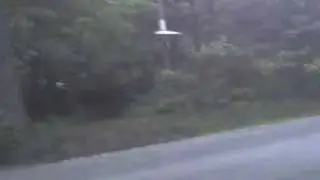 спортцмены
