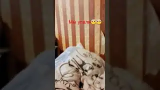 это самый милый тренд🧡