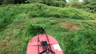 Just bush hogging