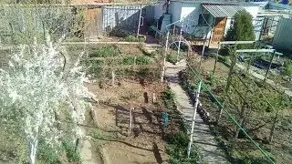 МОЙ САД ВЕСЕННИЙ ОБЗОР, ЦВЕТУТ САДЫ, ТОМАТЫ РАСТУТ В ТЕПЛИЦЕ