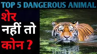 Top 5 dangerous animals in the world | दुनिया के 5 सबसे खतरनाक जानवर