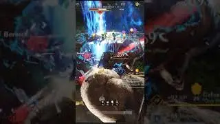 New World Crazy Unlimited Items Xp Weapon XP And Hide 