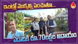 ఇంట్లో మొక్కల్ని పెంచుతూ ఏడాదికి 70 లక్షల ఆదాయం | Farming Business | Amulya Startups.