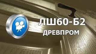 Межкомнатная дверь ЛШ60-Б2 ♦ Древпром Витебск