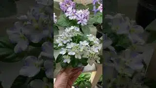 Обзорчики 28.04 ч.4