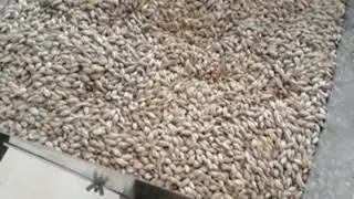 Солододробилка