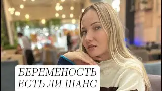15 октября 2023 г.