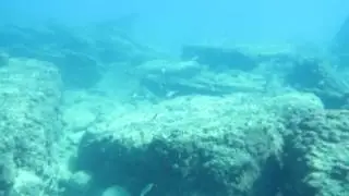 MVI_5349.MP4