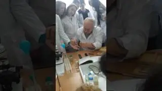 Физиологи. Костной и воздушная проводимость Порог пространственной чувствительности