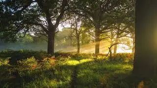 Emotional Piano Music 