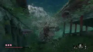 2. Carp & Divine Realm