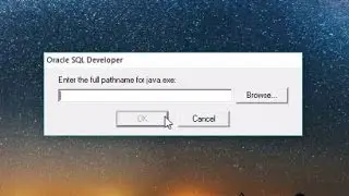 SQL Developer