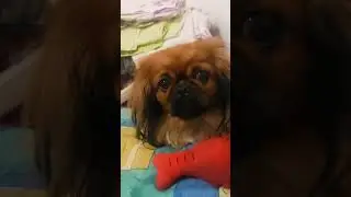 Сонечка требует внимания 😃💕🤗
