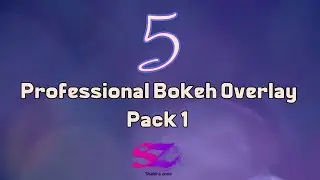 Professional 5 Bokeh Effect Overlay & Light Leaks | HD | Pack1