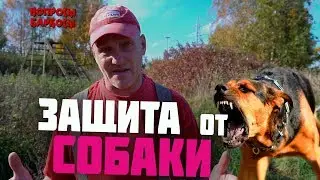Советы которые помогут защититься от бродячей собаки
