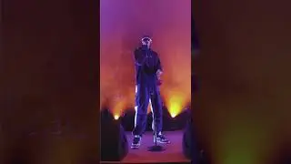 *Narration Sego enters the chat