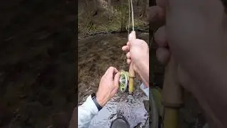 Native brookie 😍in the mountains 🎣