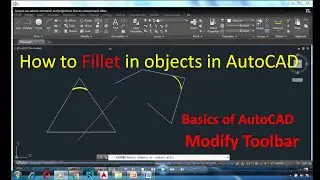 how to use fillet with trim, polyline etc in autocad