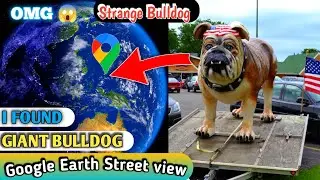 I Found Giant Bulldog in Arizona on Google Earth and Google Map