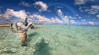 Bonefish VS Trigger Fish VS Napoleon! Fly Fishing in French Polynesia
