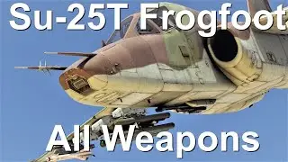 Su-25T Frogfoot All Weapons | DCS