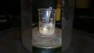 Agar per micologia , esempio di preparazione ed alcune considerazioni pratiche - Parte 2