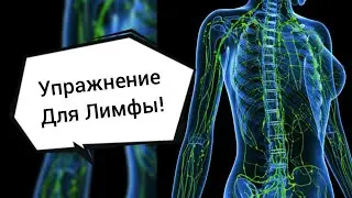 Лучшее упражнение для лимфатической системы! Эфир-219 27.06.23