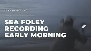 Sea Foley Recording Early Morning | Corfu
