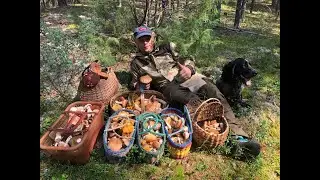 Тихая охота за белыми грибами)))) Август 2020 год