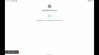 Share Matter device from Google Home to Home Assistant