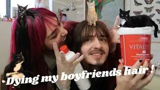 Dyeing my boyfriends hair