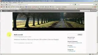 WordPress Beginner: Intro to Pages vs Post and What Browser To Use