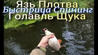 Вот это Рыбалка Белый хищник Бабахает на Минохи