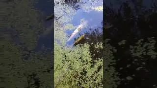 люди до коих пор?!