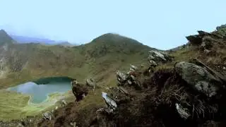 Welsh 3000's - Crib Goch, Garnedd Ugain & Snowdon walk