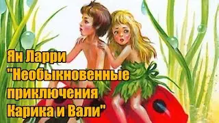 Ян Ларри 