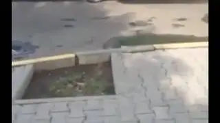 Дрифтанул