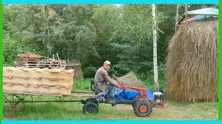 Деревенские будни уходящего июля!